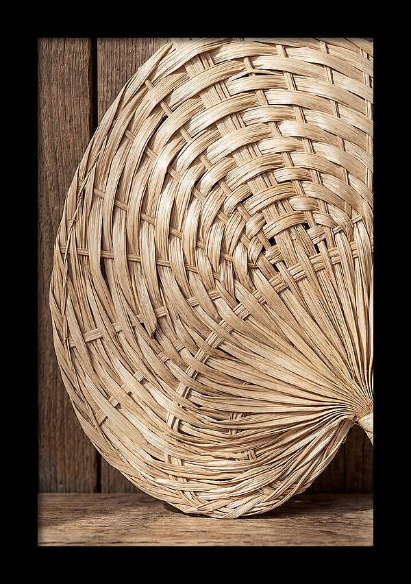 Palm Leaf Fan Pattern