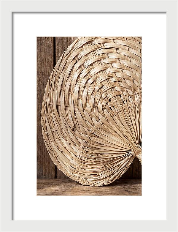 Palm Leaf Fan Pattern