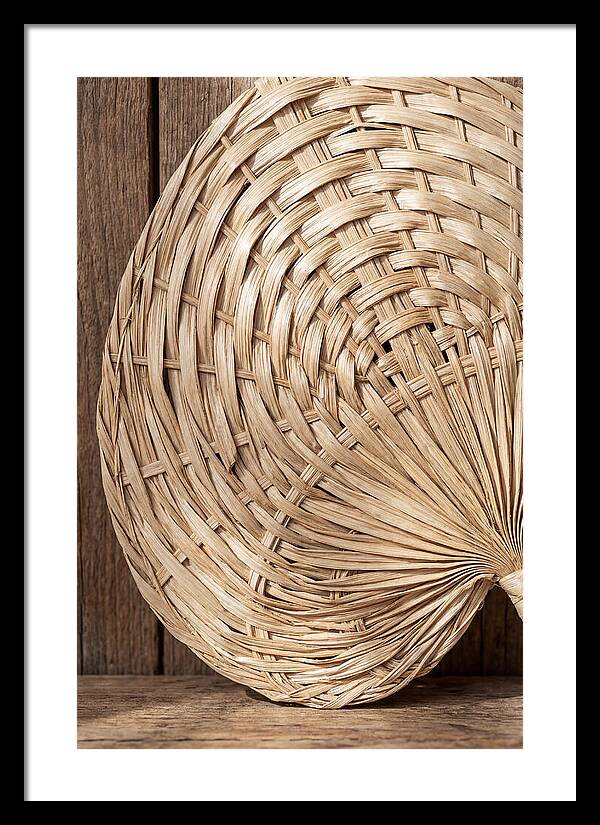 Palm Leaf Fan Pattern