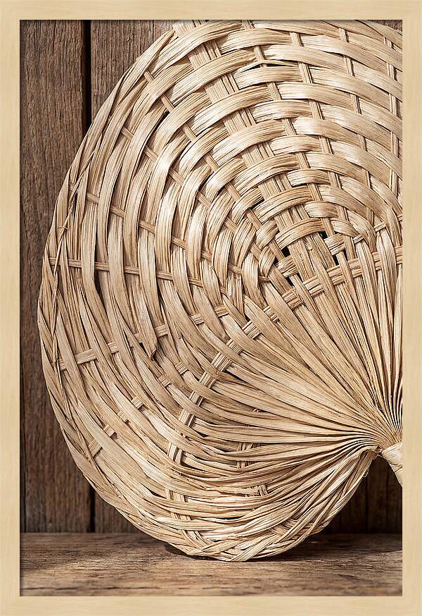 Palm Leaf Fan Pattern