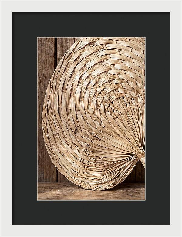 Palm Leaf Fan Pattern