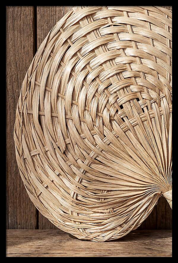 Palm Leaf Fan Pattern
