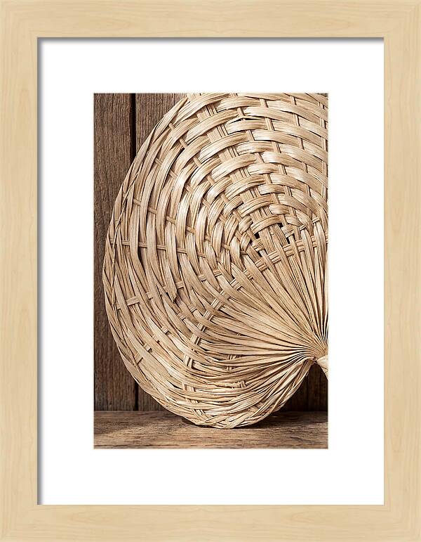Palm Leaf Fan Pattern