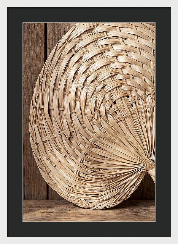 Palm Leaf Fan Pattern