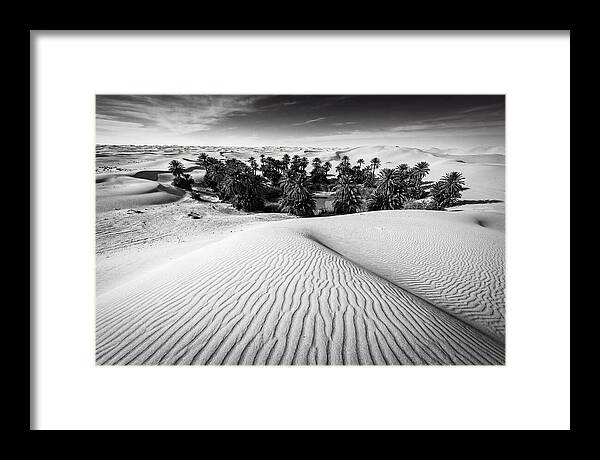 Palm Oasis Amidst Desert Dunes
