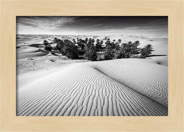 Palm Oasis Amidst Desert Dunes