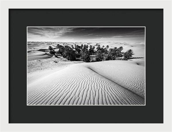 Palm Oasis Amidst Desert Dunes