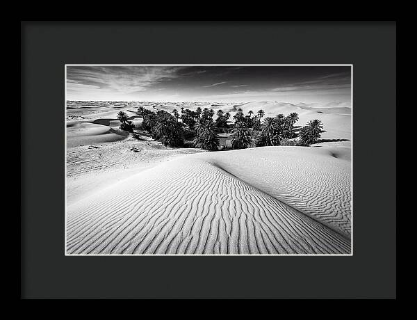 Palm Oasis Amidst Desert Dunes