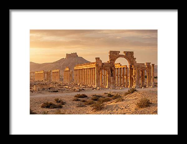 Palmyra Colonnade Avenue At Golden Hour