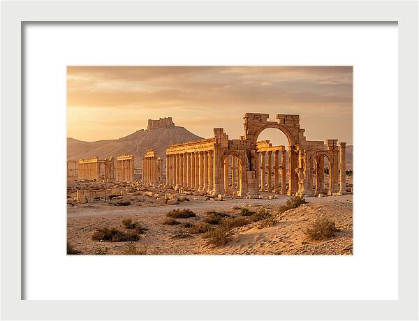 Palmyra Colonnade Avenue At Golden Hour
