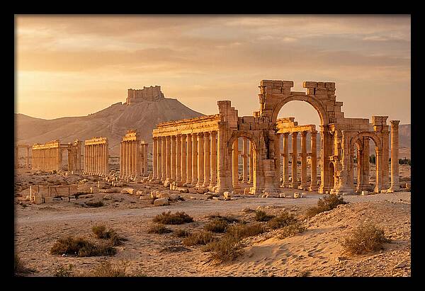 Palmyra Colonnade Avenue At Golden Hour