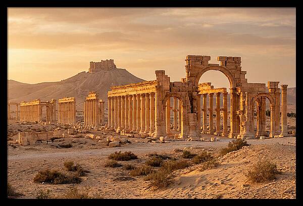 Palmyra Colonnade Avenue At Golden Hour