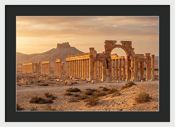 Palmyra Colonnade Avenue At Golden Hour