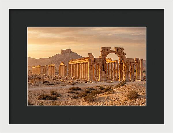 Palmyra Colonnade Avenue At Golden Hour