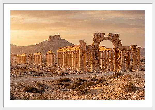 Palmyra Colonnade Avenue At Golden Hour