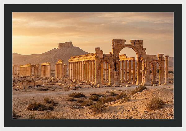 Palmyra Colonnade Avenue At Golden Hour