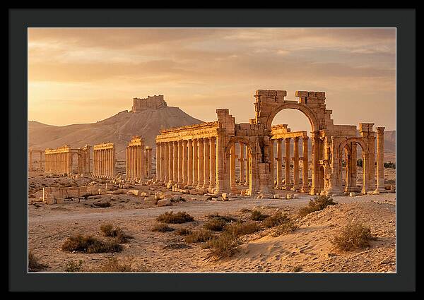 Palmyra Colonnade Avenue At Golden Hour