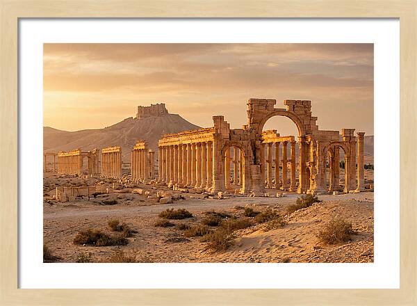 Palmyra Colonnade Avenue At Golden Hour