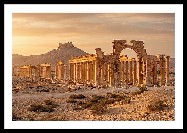 Palmyra Colonnade Avenue At Golden Hour