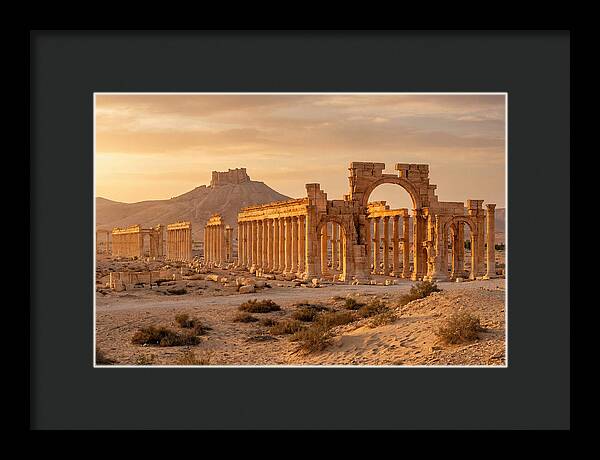 Palmyra Colonnade Avenue At Golden Hour