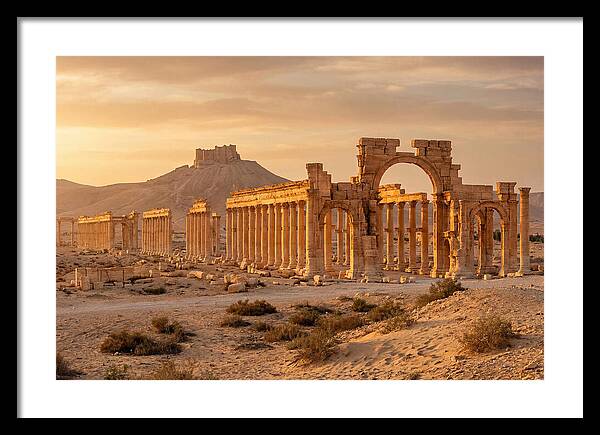 Palmyra Colonnade Avenue At Golden Hour