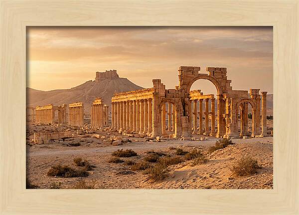 Palmyra Colonnade Avenue At Golden Hour