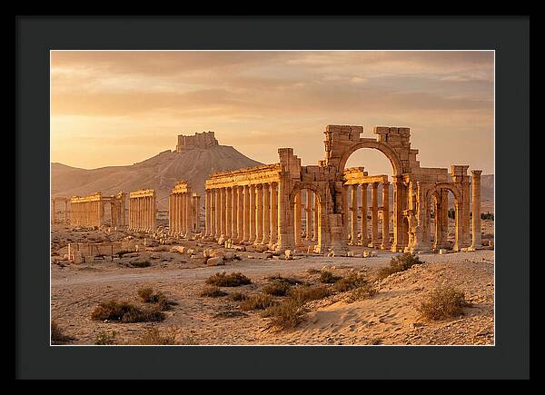 Palmyra Colonnade Avenue At Golden Hour