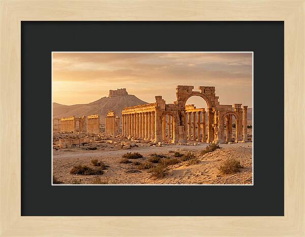 Palmyra Colonnade Avenue At Golden Hour