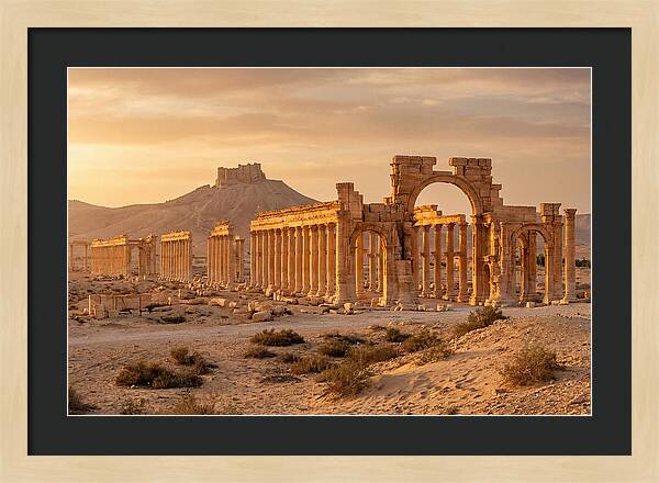 Palmyra Colonnade Avenue At Golden Hour