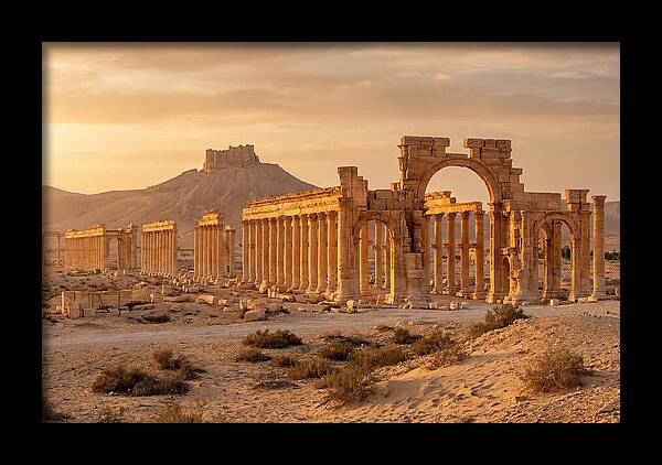 Palmyra Colonnade Avenue At Golden Hour