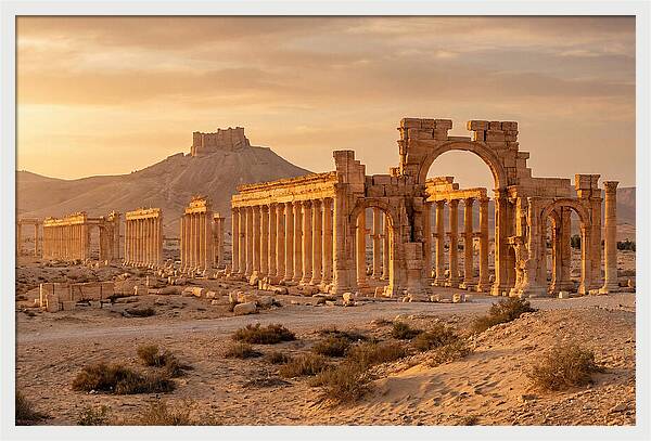 Palmyra Colonnade Avenue At Golden Hour