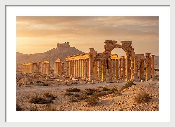 Palmyra Colonnade Avenue At Golden Hour