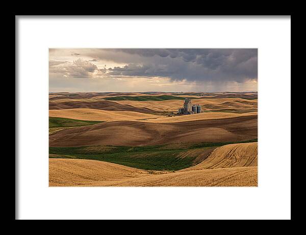 Palouse Hills At Harvest