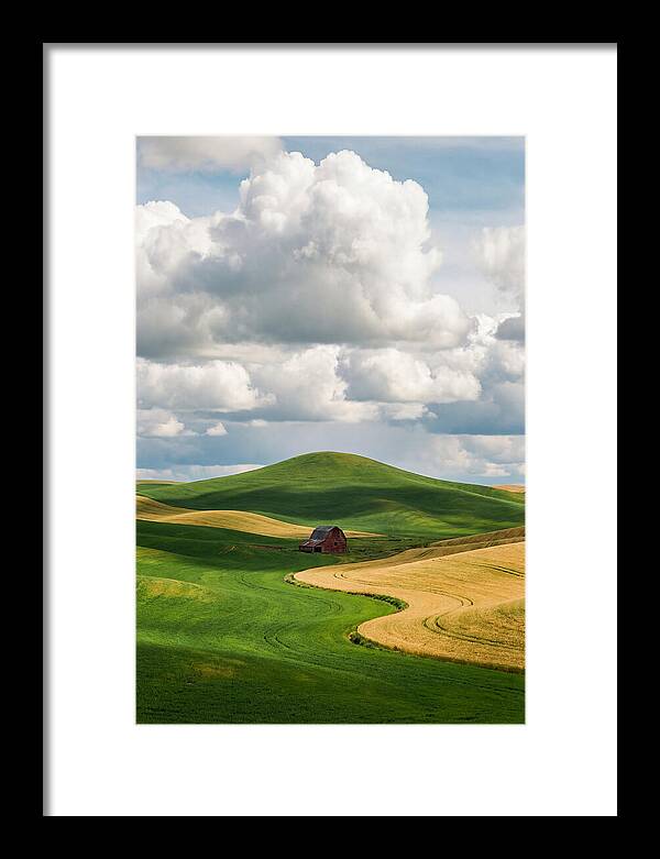 Palouse Hills In Spring