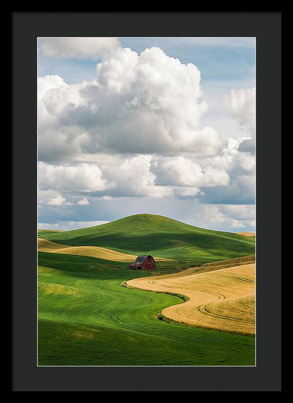 Palouse Hills In Spring