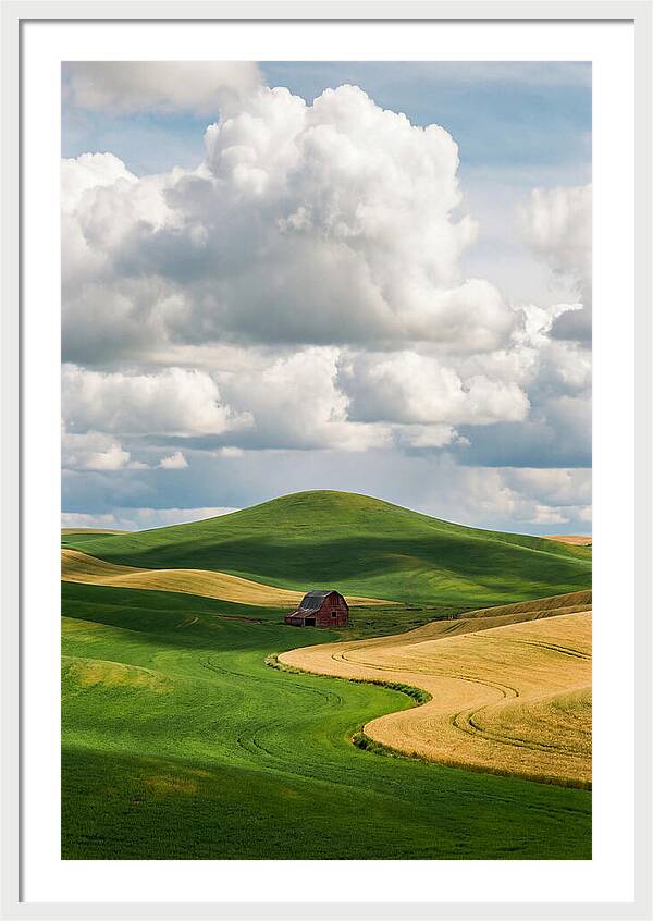 Palouse Hills In Spring