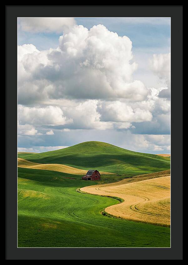Palouse Hills In Spring