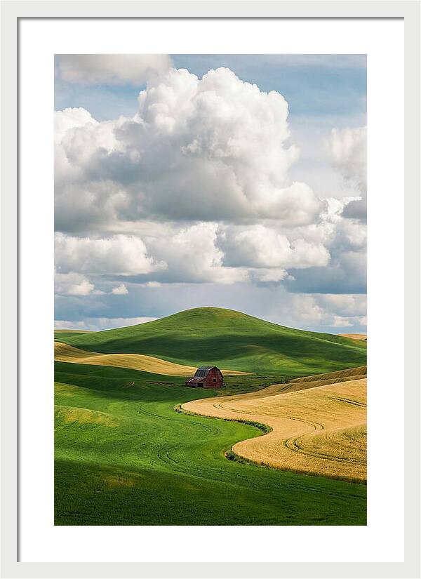 Palouse Hills In Spring