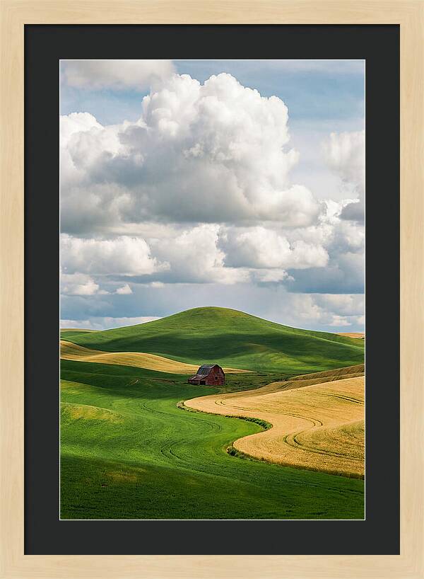 Palouse Hills In Spring
