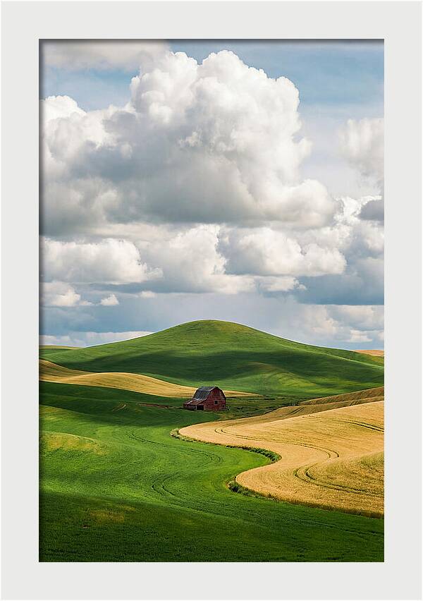 Palouse Hills In Spring