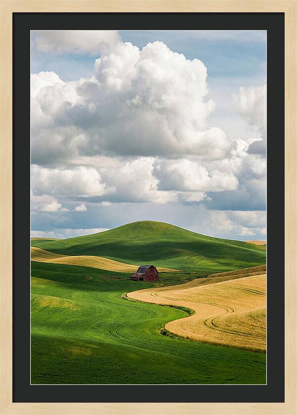Palouse Hills In Spring