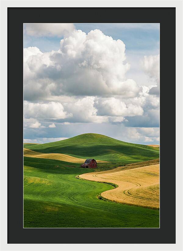 Palouse Hills In Spring