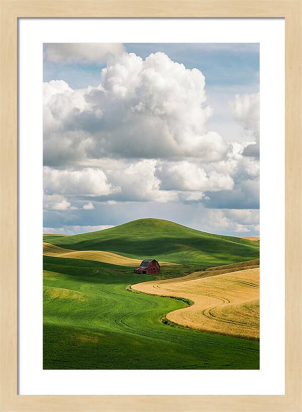 Palouse Hills In Spring