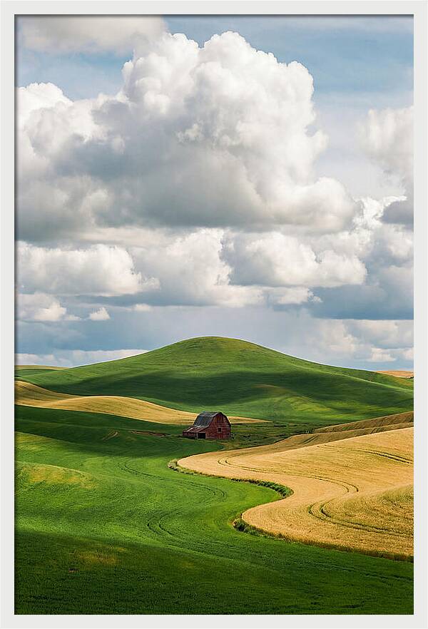 Palouse Hills In Spring