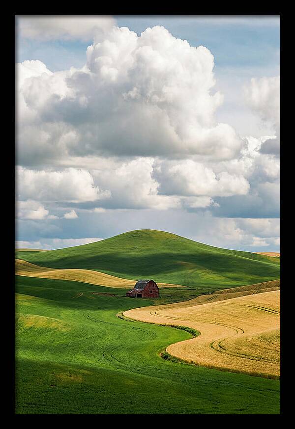 Palouse Hills In Spring