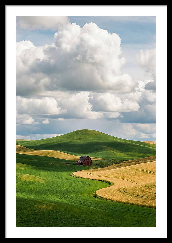 Palouse Hills In Spring