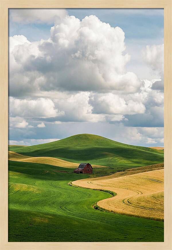 Palouse Hills In Spring