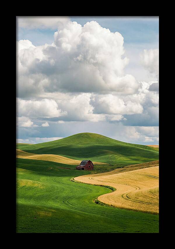 Palouse Hills In Spring