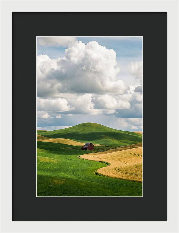 Palouse Hills In Spring
