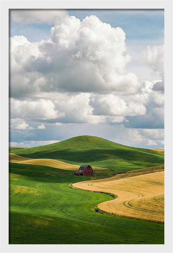 Palouse Hills In Spring